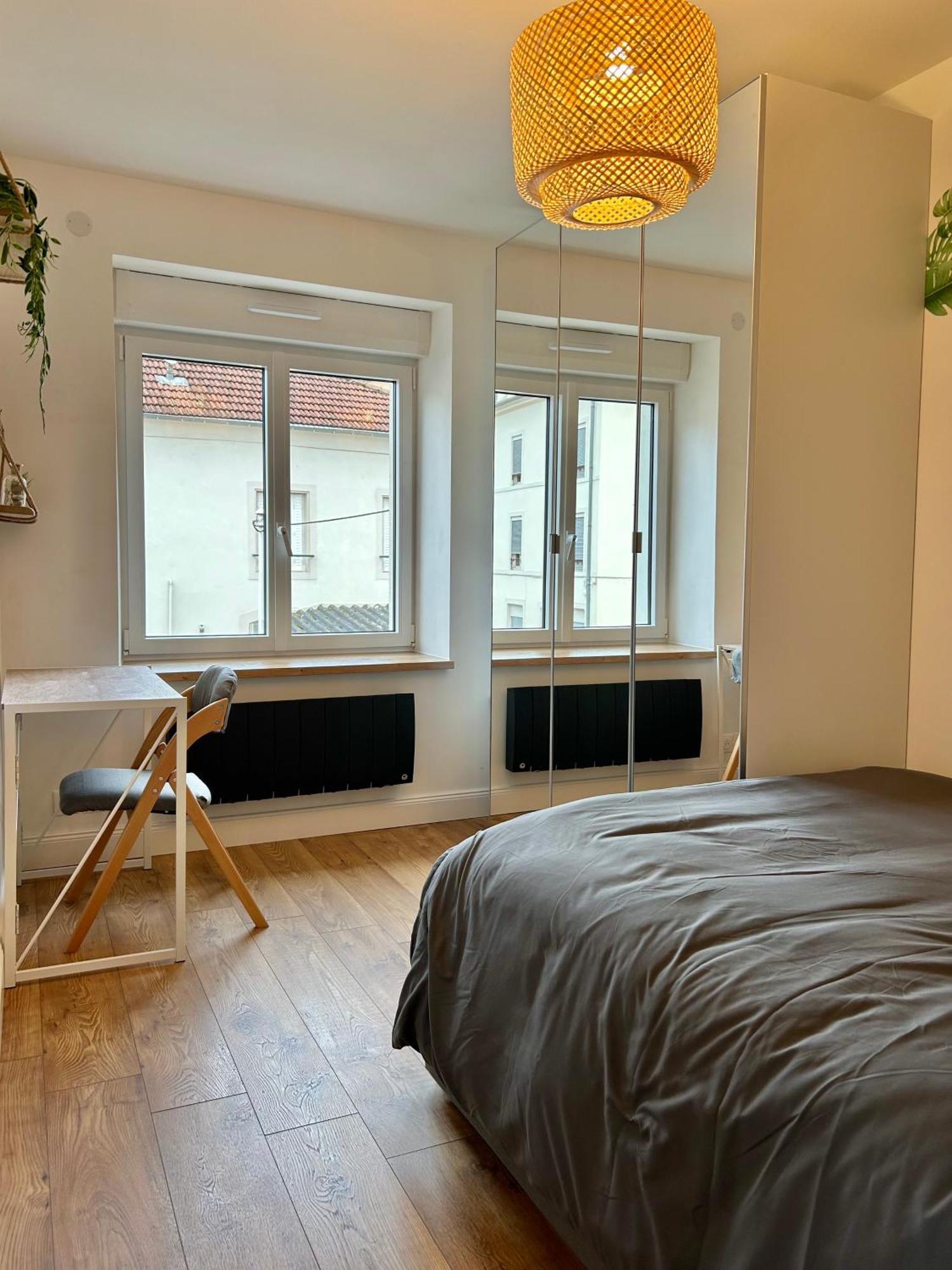 Le Chardon- Appartement 2Chambres- Avec Stationnement Nancy Ngoại thất bức ảnh