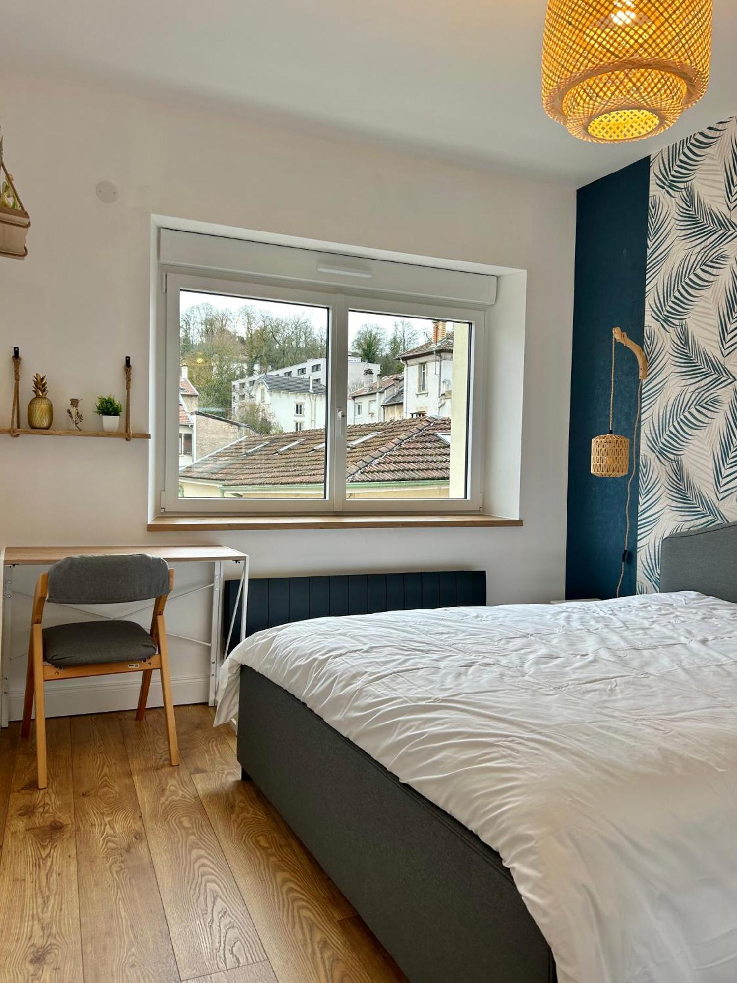 Le Chardon- Appartement 2Chambres- Avec Stationnement Nancy Ngoại thất bức ảnh