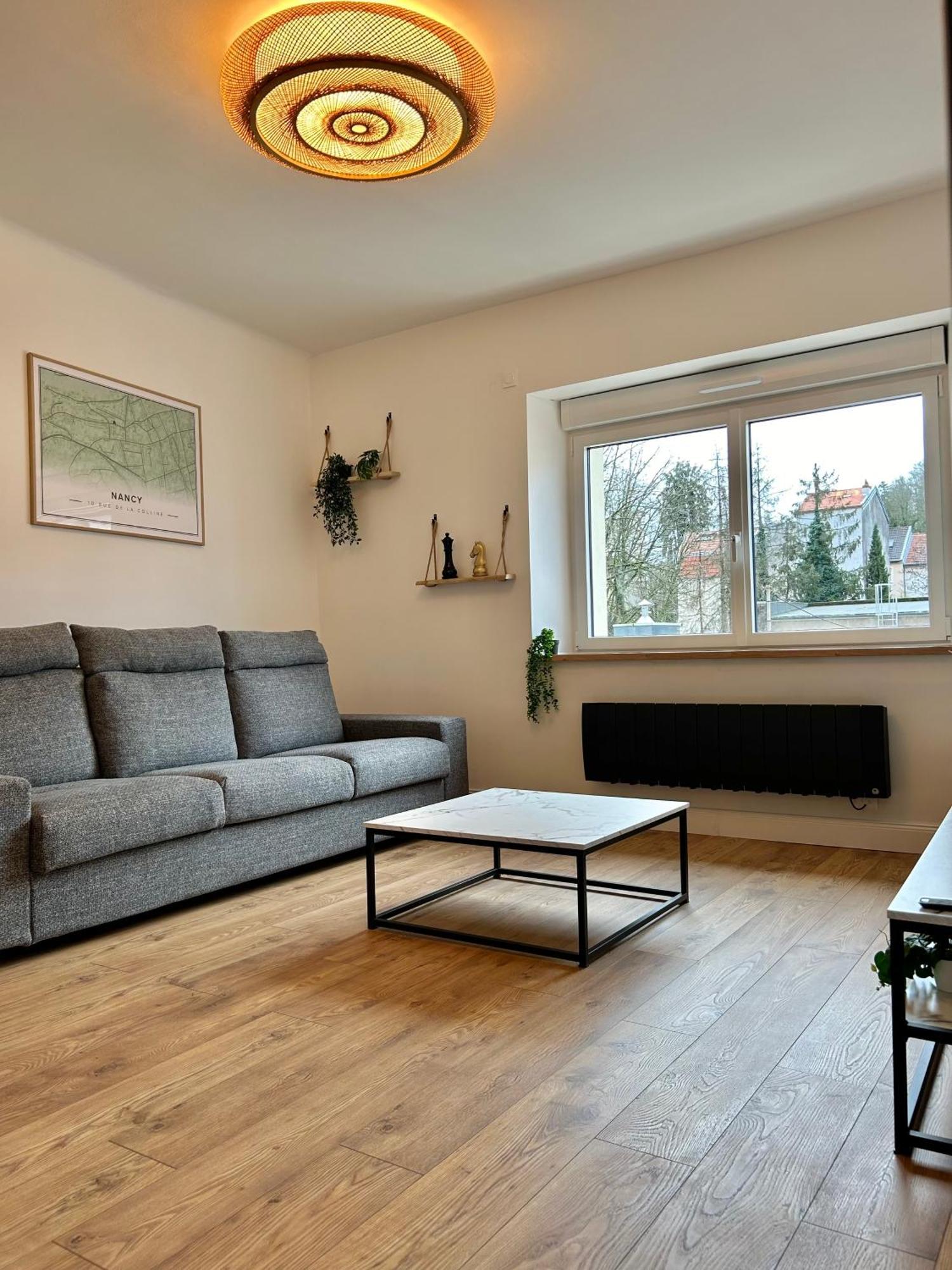 Le Chardon- Appartement 2Chambres- Avec Stationnement Nancy Ngoại thất bức ảnh